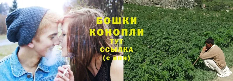 Марихуана OG Kush  Вязьма 